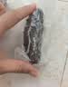 大鲜田大连有机即食海参4斤/40-60只固形物超85%辽刺参滋补礼盒源头直发 实拍图