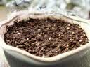 北蔬 太阳花种子苗重瓣混色四季种开花草花种籽 卓脆太阳花种子3万粒 实拍图