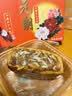 元朗五仁月饼散装火腿肉脯中秋正宗老式广式香港广东老字号单个装150g 实拍图