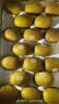 佳沛（zespri）新西兰金奇异果猕猴桃 5粒装 单果约88-103g 水果源头直发 实拍图