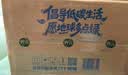 养元六个核桃 精品型核桃乳植物蛋白饮料240ml*24 整箱装 实拍图