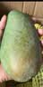 集南鲜  四川凯特芒果 新鲜热带青皮黄皮大芒果 当季香甜水果芒果整箱 含箱10斤 单果500g起  净重9斤 实拍图