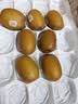 佳沛（zespri）新西兰金奇异果22粒巨大原箱146-175g猕猴桃水果礼盒 实拍图