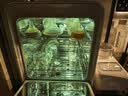 新安怡飞利浦新安怡奶瓶消毒柜婴儿宝宝专用紫外线消毒器烘干二合一体机 实拍图