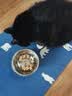 麦富迪猫粮 barf霸弗天然猫粮全价老年猫粮≥7岁 1.8kg 实拍图