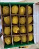 佳沛（zespri）新西兰金奇异果16粒经典果88-103g猕猴桃中秋节礼品送水果礼盒 实拍图