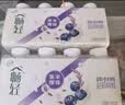 伊利畅轻低温酸奶 蓝莓紫米爆珠250g*8瓶酸牛奶 源头直发包邮 短保 实拍图