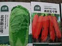 北蔬萝卜白菜籽香菜菠菜胡萝卜生菜秋冬菜种 10种秋冬季蔬菜种子套餐 实拍图