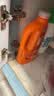 威猛先生（Mr Muscle）管道疏通啫喱 960ml*2瓶卫浴 下水道疏通剂厕所管道疏通 实拍图