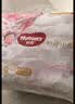 好奇（Huggies）皇家小龙裤拉拉裤XXXL50片(17kg以上)尿不湿【柔吸防漏王】 实拍图