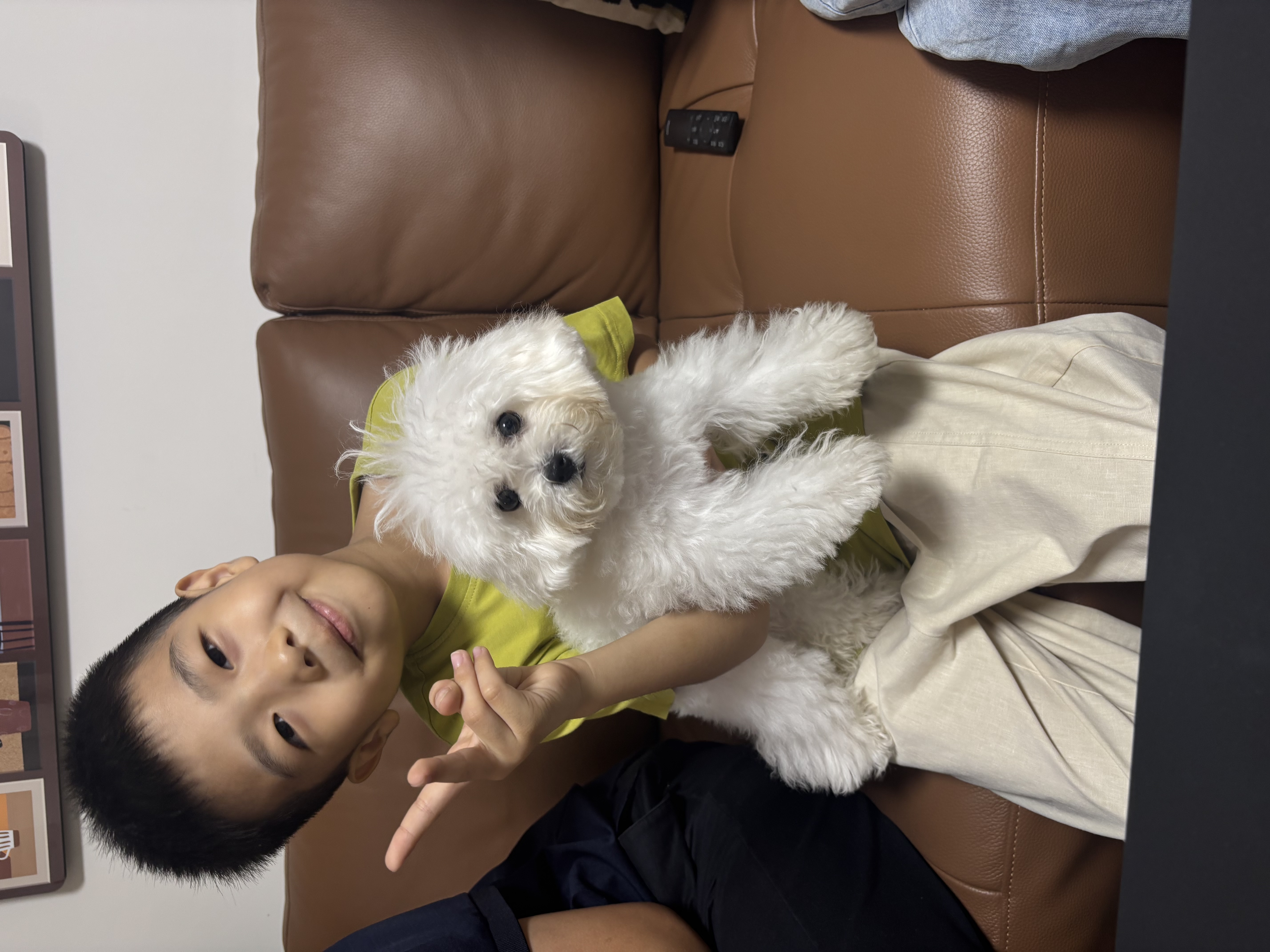 licheers猫狗窝四季小型犬宠物猫咪睡垫夏季舒适泰迪中大型犬狗垫子 S号 实拍图
