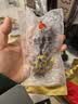 同仁堂海参礼盒即食海参大连辽刺参1.6kg28只固形物100%辽宁海鲜特产 实拍图