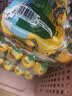 金豆芽儿童金银花柚子汁155ml*16瓶便携孩子饮料宝宝果汁西柚汁 实拍图