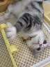 路斯冻干三拼猫粮成猫幼猫粮全价营养冻干猫粮10kg多猫家庭首选 实拍图