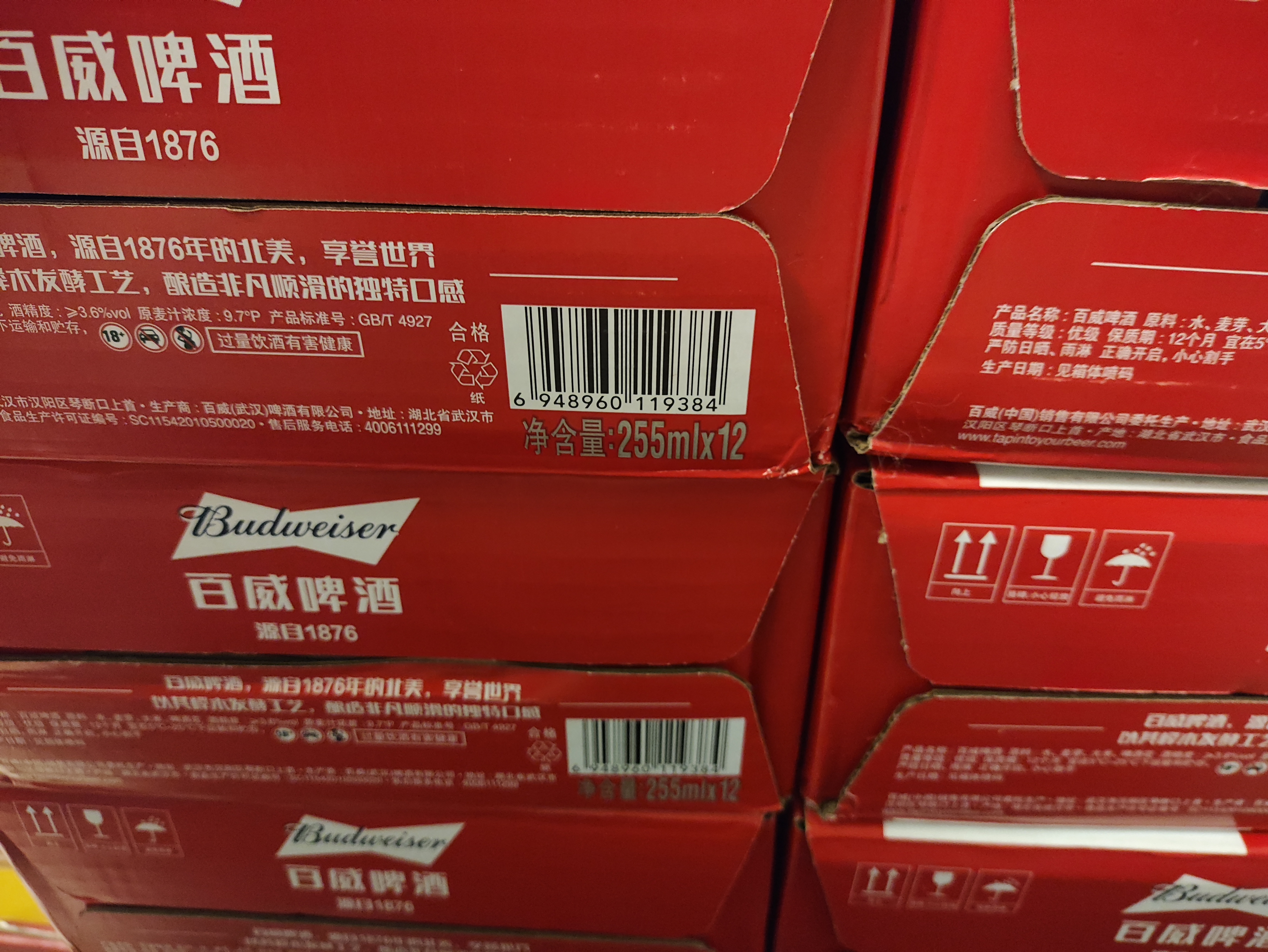 百威mini红罐淡色拉格255ml*12罐整箱装京东自营中秋礼品【饮用至26】 实拍图