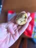 徽天赐农科院新疆三蒸三晒无花果干无糖无添加孕妇即食特大果黄体酮零食 【健康0添加】三蒸三晒无花果干（100g*1袋） 实拍图
