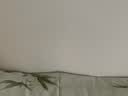 晴画抗菌防撞墙贴墙纸自粘防水防潮防霉壁纸无甲醛贴纸经典白50*280cm 实拍图