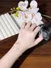 奥斯坦汀S925银手链饰女鸢尾花高级感精致实用情人节生日礼物送女朋友老婆 鸢尾花手链【品牌原装礼盒】 单条 实拍图