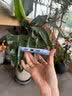 WiWU双气囊支点壳Q1适用iPhone18ProMax手机壳 通用iphone17promax保护套2026新款精孔全包磁吸 【晴空蓝】真气囊防摔|360°旋转支架|清爽冰透 iPhone17 Pr 实拍图