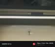 公牛（BULL）护眼壁挂家用全光谱MW-A60AD无极调光调色读写酷毙灯60CM 16W 实拍图