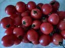 【水果菜】啵啵蜜小番茄1kg(红千禧小番茄） 实拍图
