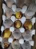 京觅四川大凉山丑苹果净4.5斤单果70mm+新鲜水果冰糖心苹果源头直发 实拍图