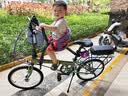 大行（DAHON）D6经典折叠自行车20英寸6速折叠车成人男女士学生折叠单车KBC061 青草绿 实拍图
