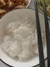 益美（EMEAL）家用2L陶瓷微压0涂层陶瓷内胆小型电饭煲1-2人多功能炖煮小电饭煲2-3人用智能电饭锅TG-TC20A 2.0L 【新升级陶瓷内胆】 2L 陶白色 实拍图
