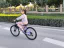 永久铝合金山地自行车成年人男女士单车F7 24速-梅林紫-线碟 27.5 实拍图