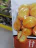 三只松鼠有机甘栗仁500g 熟制即食板栗仁栗子仁坚果休闲零食团购送礼 实拍图