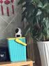 奥克斯1600万像素摄像头监控无线wifi网络高清夜视监控器360度无死角带夜视全景云台家用AI监控手机远程 实拍图