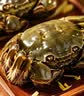【活蟹】蟹叁钳庄 全母大闸蟹 去绳足重2.5-2.8两 8只鲜活生鲜现货螃蟹礼盒 实拍图