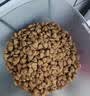 皇家猫粮 成猫猫粮 营养均衡 F32 通用粮 1-7岁 2KG 实拍图