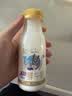 每日鲜语鲜牛奶 A2β-酪蛋白鲜牛奶185ml*6 巴氏杀菌乳 低温鲜奶 实拍图