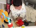 jollybaby音乐跳跳球宝宝哄娃神器儿童学说话会唱歌婴儿玩具 愤怒的小鸟 实拍图