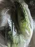 上海青约500g(油菜) 实拍图