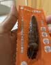 渔大叔 即食母皮皮虾肉带籽虾爬子约4-6只高蛋白高钙休闲零食特产48g 实拍图