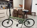 大行（DAHON）D6折叠自行车20英寸6速成人休闲单车 KBC061 青草绿 20英寸 实拍图