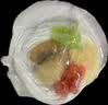 1号会员店（One's Member）蒜蓉粉丝扇贝 鲜活捕捞 严选深海虾夷扇贝 454g（12只装） 实拍图