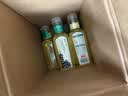 农夫山泉东方树叶桂花乌龙茶335ml*24瓶无糖茶饮料0糖0脂0卡【金秋限定】 实拍图