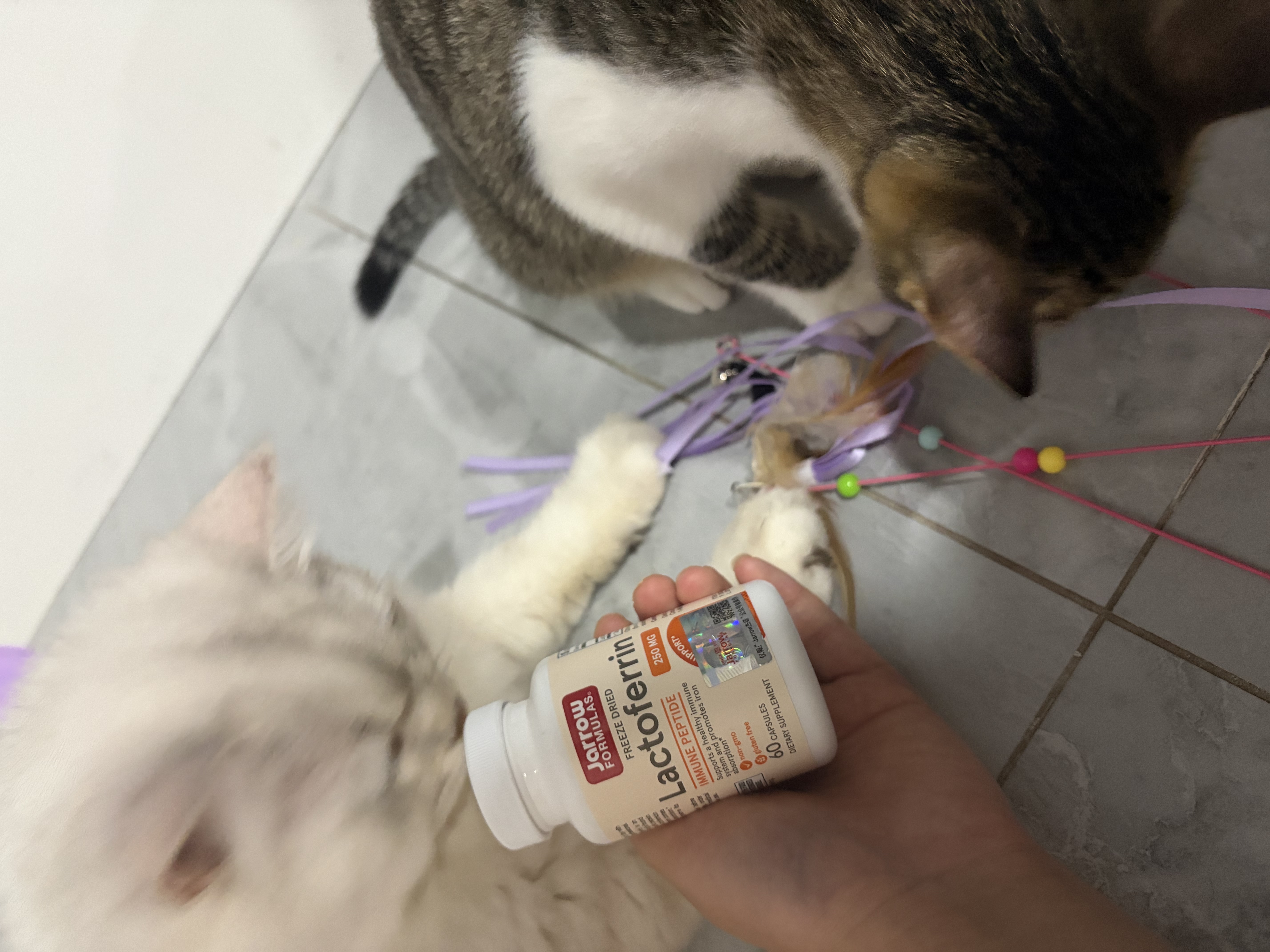 Jarrow杰诺乳铁蛋白胶囊增强免疫力预防换季牛初乳 美国进口 60粒*1瓶 250mg乳铁蛋白 实拍图