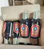 青岛啤酒（TsingTao）小棕金 拉环瓶盖设计 258ml*12瓶 整箱装 实拍图