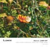松下【会员旗舰】Lumix G97 M43画幅相机 M43卡口 微单相机 无反数码相机 G97丨12-60mmF3.5-5.6 变焦套装 实拍图