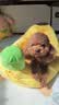 HELLOJOY狗窝四季通用可拆洗床小型犬睡窝新式香蕉船小狗宠物猫窝半封闭 实拍图