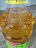 鲁花 物理压榨特香非转基因玉米胚芽油6.18L 富含植物甾醇  实拍图