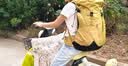 迪卡侬登山包徒步背包双肩包MH500新款户外旅行轻量化背负系统大容量 淡黄绿-38L带顶包 升级新款 实拍图