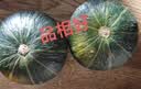 京鲜生 山东贝贝南瓜 净重3斤 单果300g+粉糯蔬菜辅食源头直发 实拍图