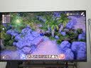 Vidda发现X2027 65英寸4000nits高亮旗舰Mini LED 黑曜屏Pro 330Hz高刷 2026超薄液晶海信电视机65VX5S 实拍图