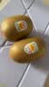 佳沛（zespri）新西兰 金奇异果特大果15粒134-146g猕猴桃水果礼盒 实拍图