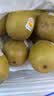 佳沛（zespri）新西兰金奇异果22粒巨大原箱146-175g猕猴桃水果礼盒 实拍图